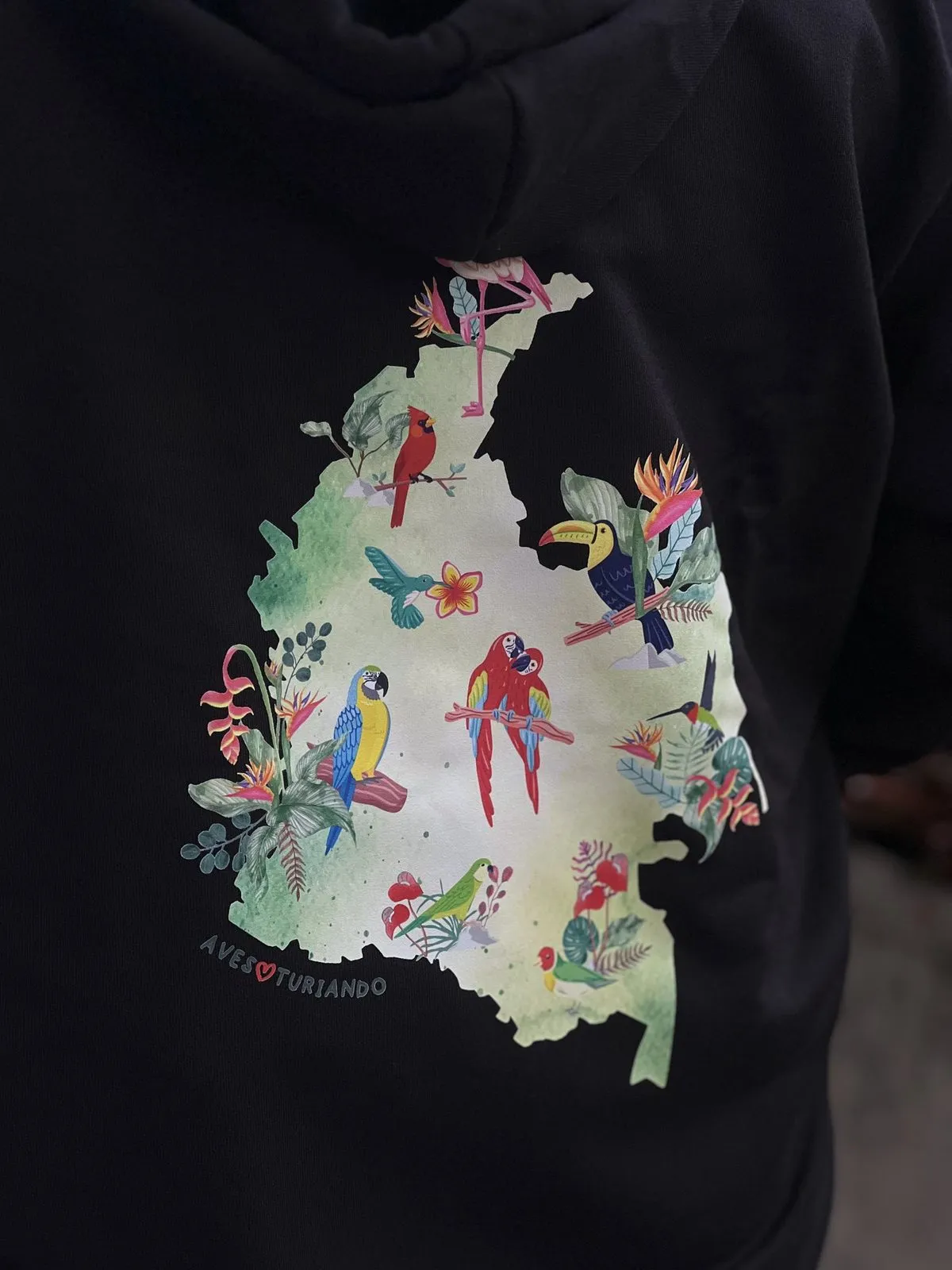 Espalda de hoodie negro con mapa de Colombia lleno de aves